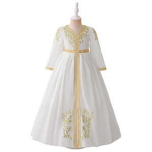 Girls Embroidered V-Neck Princess Dress
